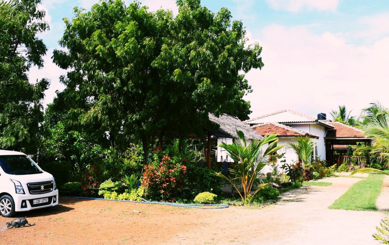 Prime Surfers Bungalow Arugam Bay Buitenkant foto