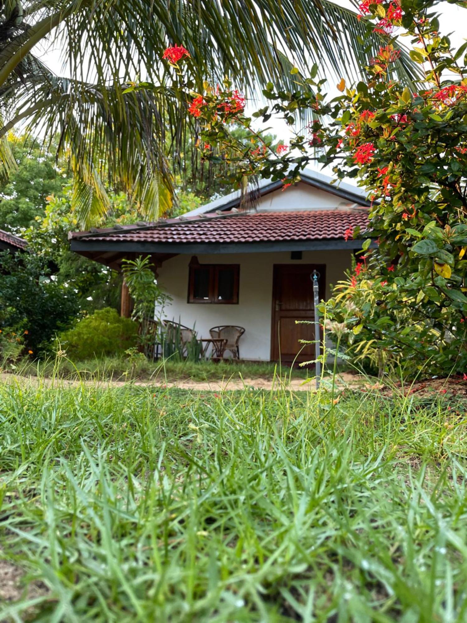 Prime Surfers Bungalow Arugam Bay Buitenkant foto